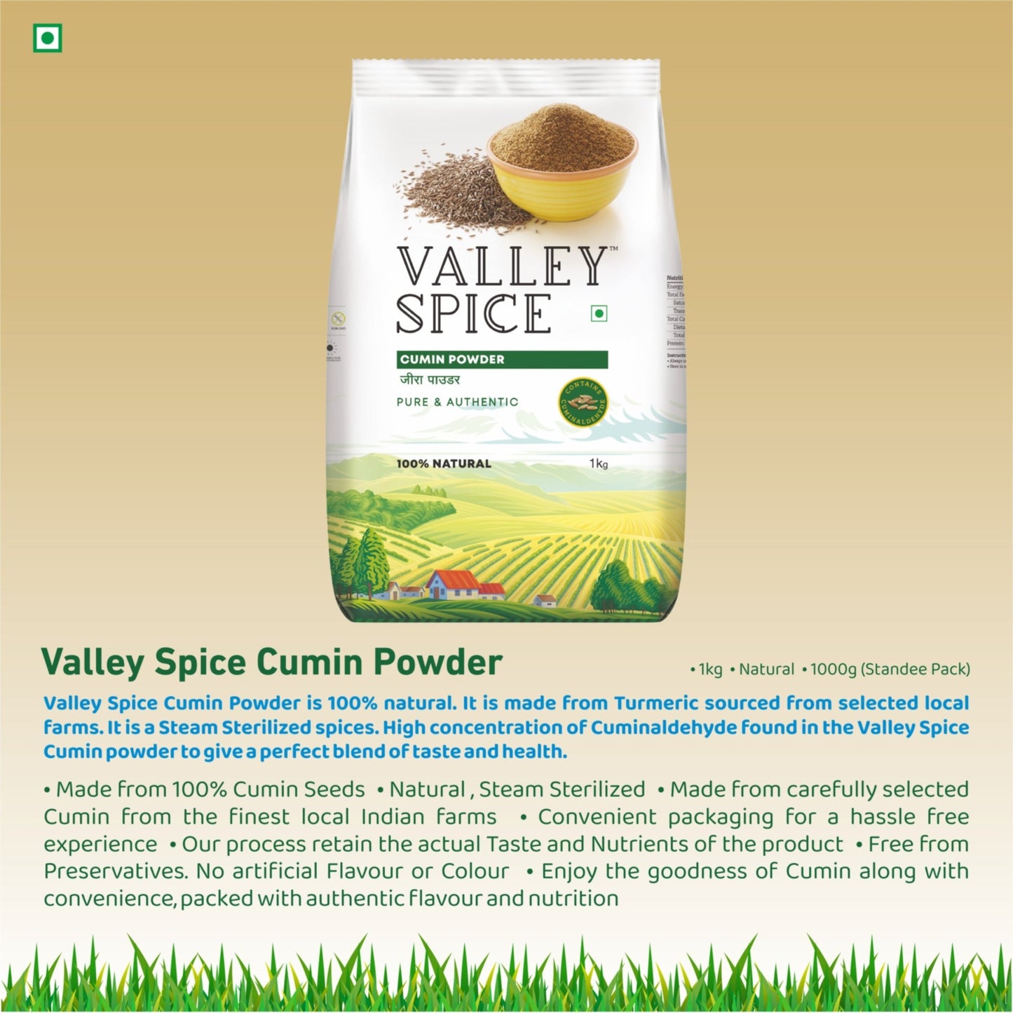 Valley Spice Cumin Powder – 100g (Pack of 2) - Jain Farm Fresh Foods Ltd