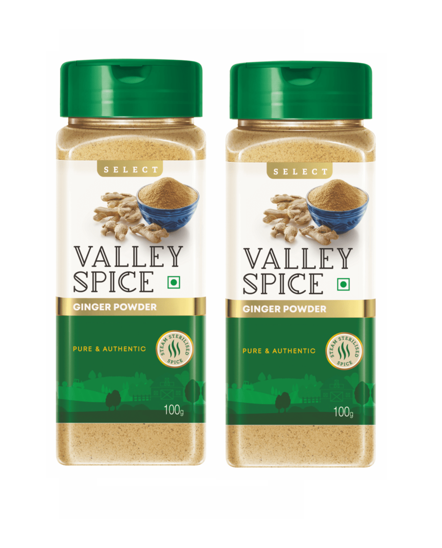 Valley Spice Ginger Powder – 100g (Pack of 2) - Jain Farm Fresh Foods Ltd