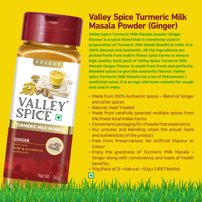 Valley Spice Turmeric Milk Masala Powder (Ginger) –50g (Pack of 2)